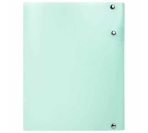 Тетрадь на кольцах А5 175х220 мм, 120 л., пластик, на липучке, с разделителями, BRAUBERG, Мятный, 404638
