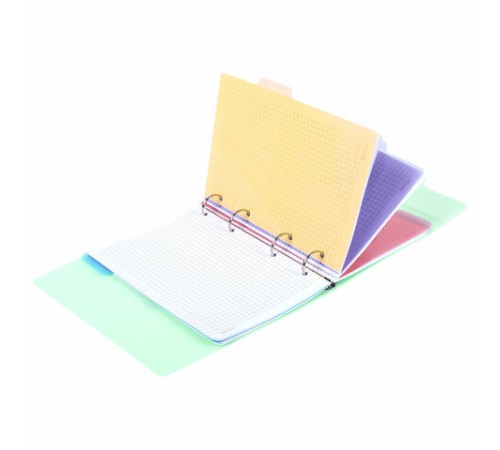 Тетрадь на кольцах А5 175х220 мм, 120 л., пластик, на липучке, с разделителями, BRAUBERG, Мятный, 404638
