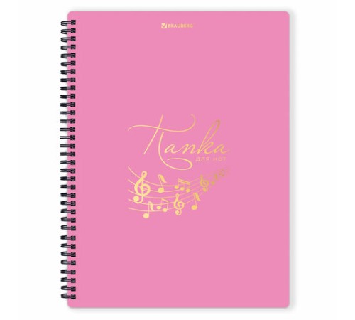 Папка-тетрадь для нот А4, 20 вкладышей на 40 страниц, на гребне, пластик, РОЗОВАЯ, BRAUBERG, 404642