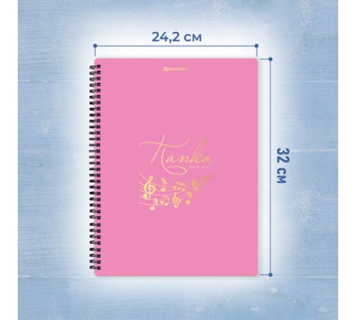 Папка-тетрадь для нот А4, 20 вкладышей на 40 страниц, на гребне, пластик, РОЗОВАЯ, BRAUBERG, 404642