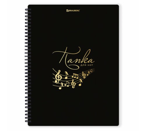 Папка-тетрадь для нот А4, 20 вкладышей на 40 страниц, на гребне, пластик, ЧЕРНАЯ, BRAUBERG, 404643