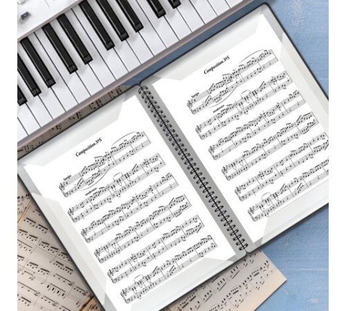 Папка-тетрадь для нот А4, 20 вкладышей на 40 страниц, на гребне, пластик, ЧЕРНАЯ, BRAUBERG, 404643