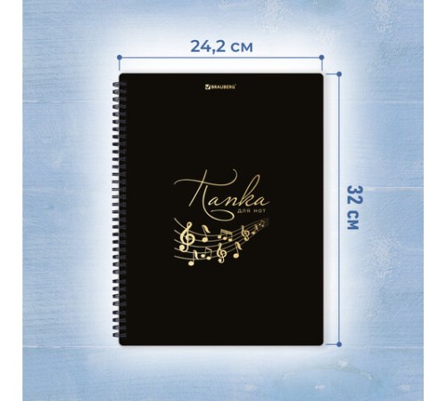 Папка-тетрадь для нот А4, 20 вкладышей на 40 страниц, на гребне, пластик, ЧЕРНАЯ, BRAUBERG, 404643