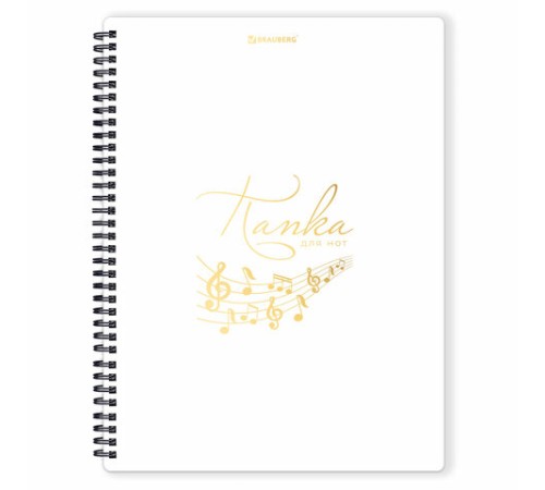 Папка-тетрадь для нот А4, 20 вкладышей на 40 страниц, на гребне, пластик, БЕЛАЯ, BRAUBERG, 404644