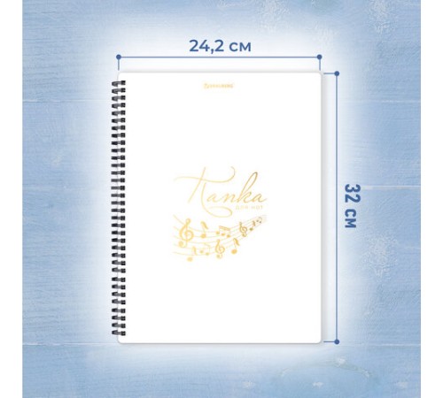 Папка-тетрадь для нот А4, 20 вкладышей на 40 страниц, на гребне, пластик, БЕЛАЯ, BRAUBERG, 404644