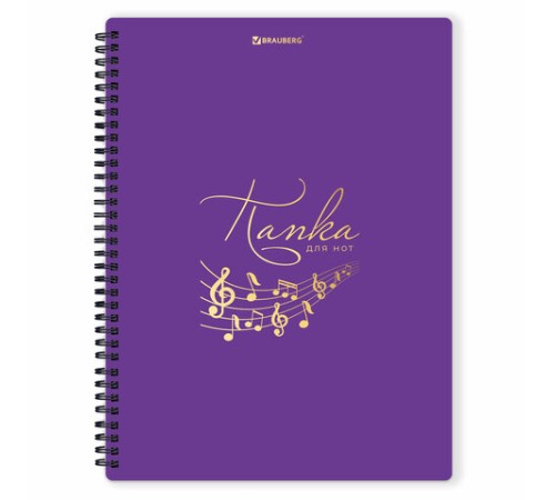 Папка-тетрадь для нот А4, 20 вкладышей на 40 страниц, на гребне, пластик, ФИОЛЕТОВАЯ, BRAUBERG, 404645