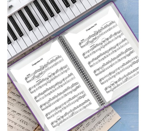 Папка-тетрадь для нот А4, 20 вкладышей на 40 страниц, на гребне, пластик, ФИОЛЕТОВАЯ, BRAUBERG, 404645