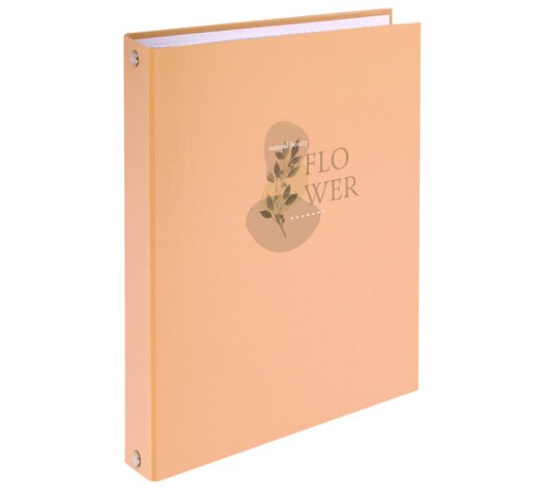 Тетрадь на кольцах А5 165х215 мм, 120 листов, твердый картон, клетка, BRAUBERG, 