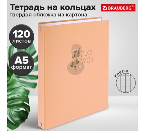 Тетрадь на кольцах А5 165х215 мм, 120 листов, твердый картон, клетка, BRAUBERG, 