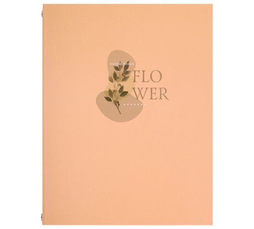 Тетрадь на кольцах А5 165х215 мм, 120 листов, твердый картон, клетка, BRAUBERG, 