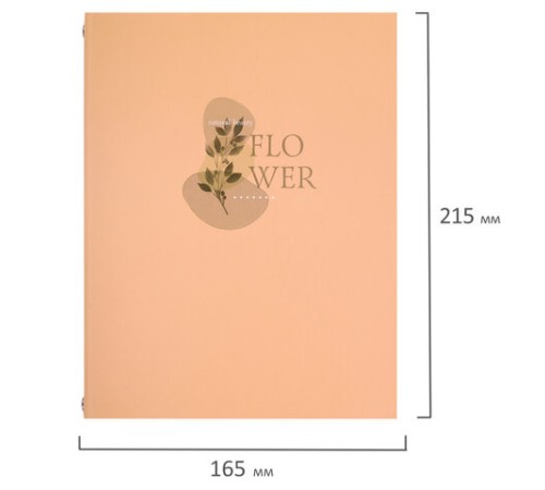 Тетрадь на кольцах А5 165х215 мм, 120 листов, твердый картон, клетка, BRAUBERG, 