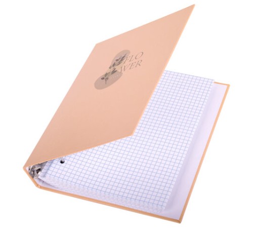 Тетрадь на кольцах А5 165х215 мм, 120 листов, твердый картон, клетка, BRAUBERG, 