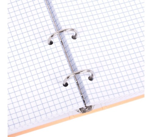 Тетрадь на кольцах А5 165х215 мм, 120 листов, твердый картон, клетка, BRAUBERG, 