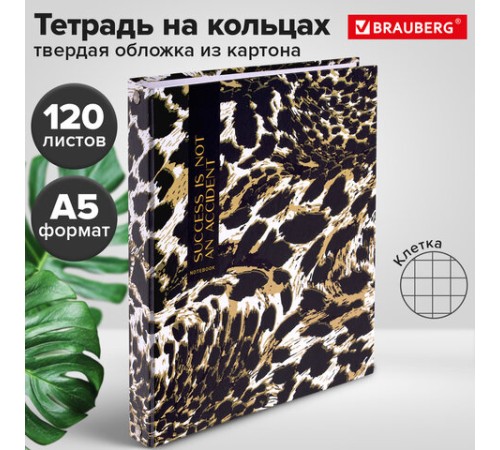 Тетрадь на кольцах А5 165х215 мм, 120 листов, твердый картон, клетка, BRAUBERG, 
