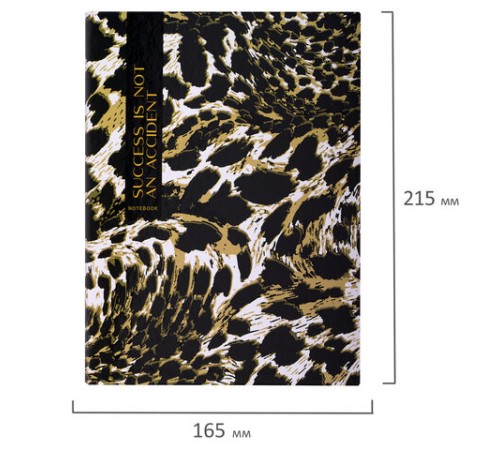 Тетрадь на кольцах А5 165х215 мм, 120 листов, твердый картон, клетка, BRAUBERG, 