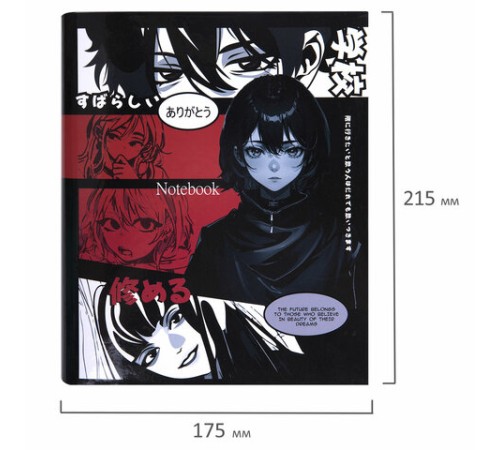 Тетрадь на кольцах А5 175х215 мм, 120 листов, твердый картон, клетка, BRAUBERG, 