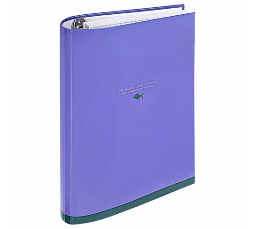 Тетрадь на кольцах А5 175х215 мм, 120 листов, твердый картон, клетка, BRAUBERG, 