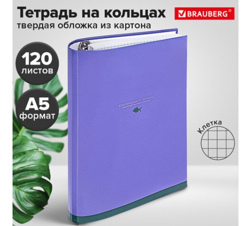 Тетрадь на кольцах А5 175х215 мм, 120 листов, твердый картон, клетка, BRAUBERG, 