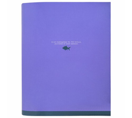 Тетрадь на кольцах А5 175х215 мм, 120 листов, твердый картон, клетка, BRAUBERG, 