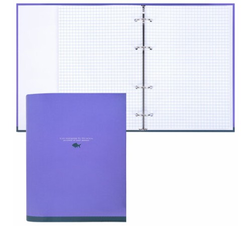 Тетрадь на кольцах А5 175х215 мм, 120 листов, твердый картон, клетка, BRAUBERG, 