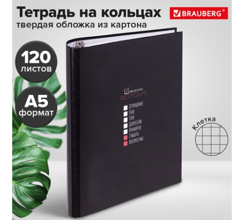 Тетрадь на кольцах А5 175х215 мм, 120 листов, твердый картон, клетка, BRAUBERG, 