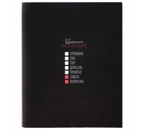 Тетрадь на кольцах А5 175х215 мм, 120 листов, твердый картон, клетка, BRAUBERG, 