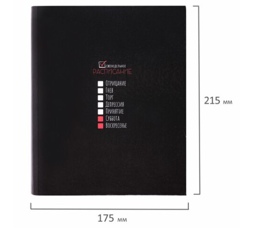 Тетрадь на кольцах А5 175х215 мм, 120 листов, твердый картон, клетка, BRAUBERG, 