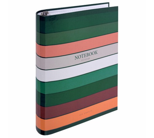 Тетрадь на кольцах А5 175х215 мм, 120 листов, твердый картон, клетка, BRAUBERG, 