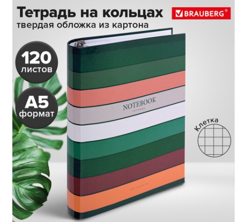 Тетрадь на кольцах А5 175х215 мм, 120 листов, твердый картон, клетка, BRAUBERG, 