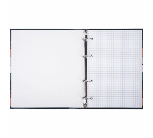 Тетрадь на кольцах А5 175х215 мм, 120 листов, твердый картон, клетка, BRAUBERG, 