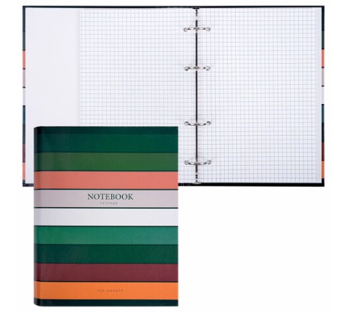 Тетрадь на кольцах А5 175х215 мм, 120 листов, твердый картон, клетка, BRAUBERG, 