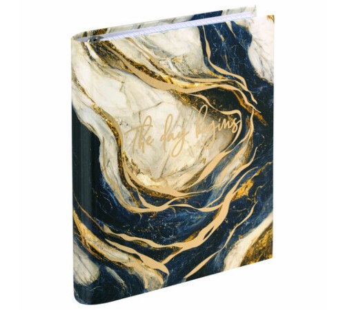 Тетрадь на кольцах А5 175х215 мм, 120 листов, твердый картон, фольга, клетка, BRAUBERG, 