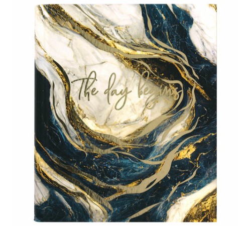 Тетрадь на кольцах А5 175х215 мм, 120 листов, твердый картон, фольга, клетка, BRAUBERG, 