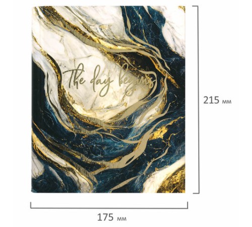 Тетрадь на кольцах А5 175х215 мм, 120 листов, твердый картон, фольга, клетка, BRAUBERG, 