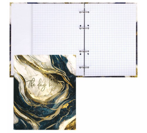 Тетрадь на кольцах А5 175х215 мм, 120 листов, твердый картон, фольга, клетка, BRAUBERG, 