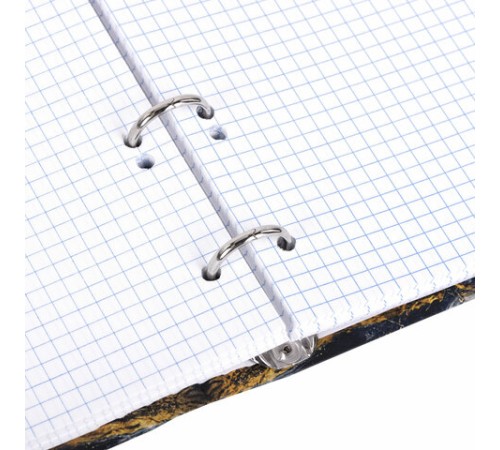 Тетрадь на кольцах А5 175х215 мм, 120 листов, твердый картон, фольга, клетка, BRAUBERG, 