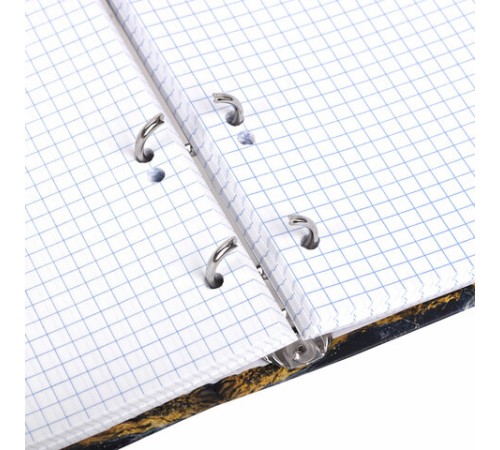 Тетрадь на кольцах А5 175х215 мм, 120 листов, твердый картон, фольга, клетка, BRAUBERG, 