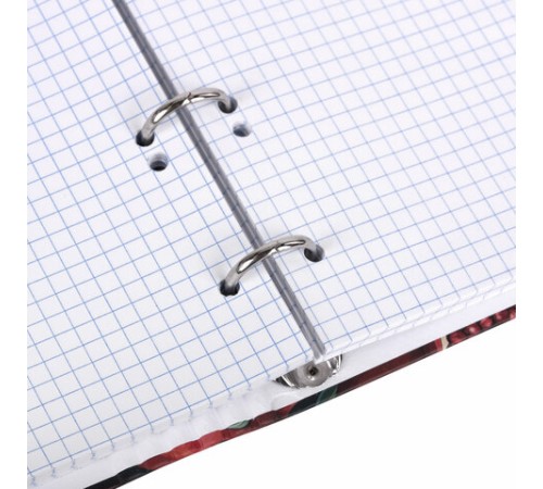 Тетрадь на кольцах А5 175х215 мм, 120 листов, твердый картон, фольга, клетка, BRAUBERG, 