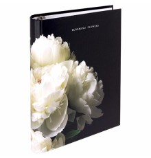 Тетрадь на кольцах А5 175х215 мм, 120 листов, твердый картон, фольга, клетка, BRAUBERG, 