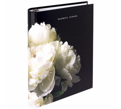 Тетрадь на кольцах А5 175х215 мм, 120 листов, твердый картон, фольга, клетка, BRAUBERG, 