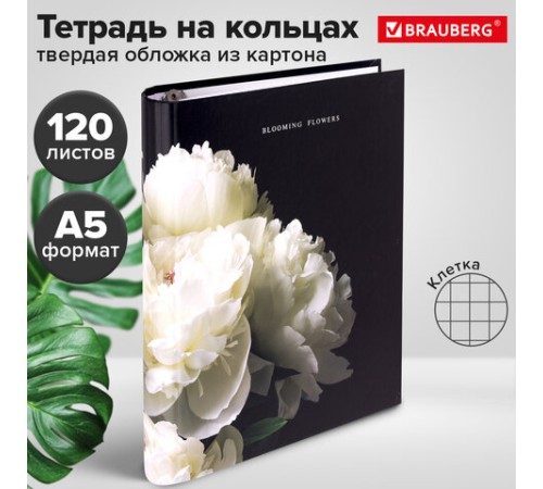 Тетрадь на кольцах А5 175х215 мм, 120 листов, твердый картон, фольга, клетка, BRAUBERG, 