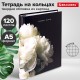 Тетрадь на кольцах А5 175х215 мм, 120 листов, твердый картон, фольга, клетка, BRAUBERG, 
