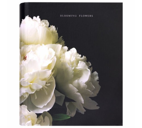 Тетрадь на кольцах А5 175х215 мм, 120 листов, твердый картон, фольга, клетка, BRAUBERG, 