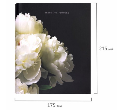 Тетрадь на кольцах А5 175х215 мм, 120 листов, твердый картон, фольга, клетка, BRAUBERG, 