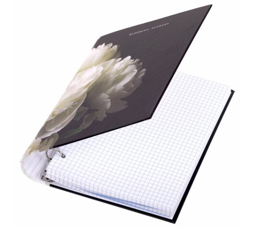 Тетрадь на кольцах А5 175х215 мм, 120 листов, твердый картон, фольга, клетка, BRAUBERG, 