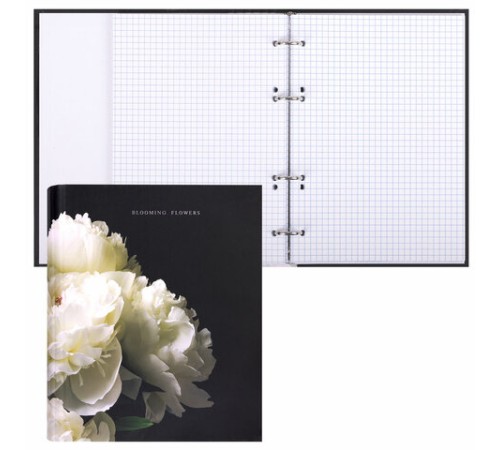 Тетрадь на кольцах А5 175х215 мм, 120 листов, твердый картон, фольга, клетка, BRAUBERG, 