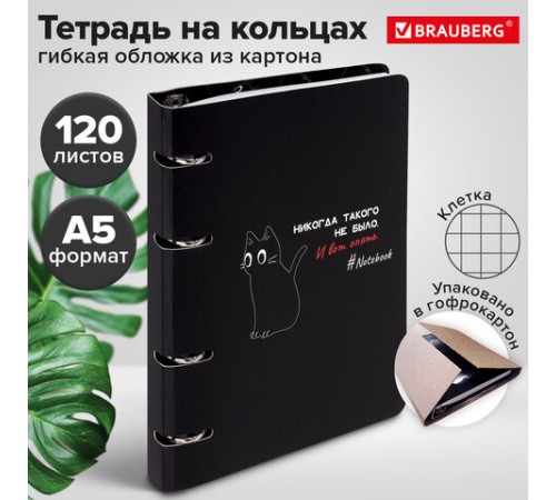 Тетрадь на кольцах А5 160х212 мм, 120 листов, картон, матовая ламинация, клетка, BRAUBERG, 