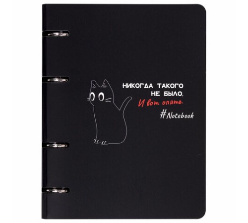 Тетрадь на кольцах А5 160х212 мм, 120 листов, картон, матовая ламинация, клетка, BRAUBERG, 