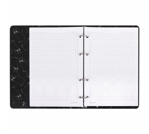 Тетрадь на кольцах А5 160х212 мм, 120 листов, картон, матовая ламинация, клетка, BRAUBERG, 