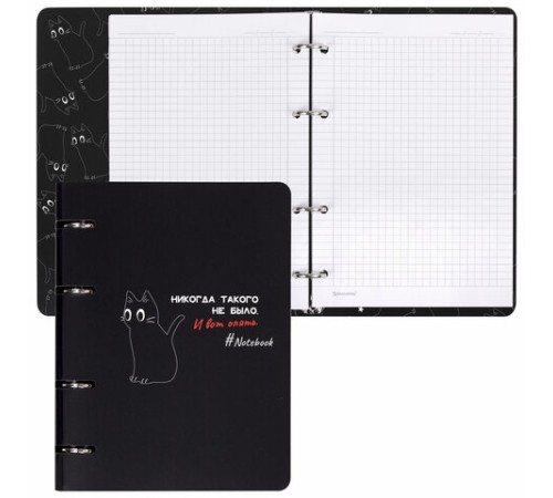 Тетрадь на кольцах А5 160х212 мм, 120 листов, картон, матовая ламинация, клетка, BRAUBERG, 